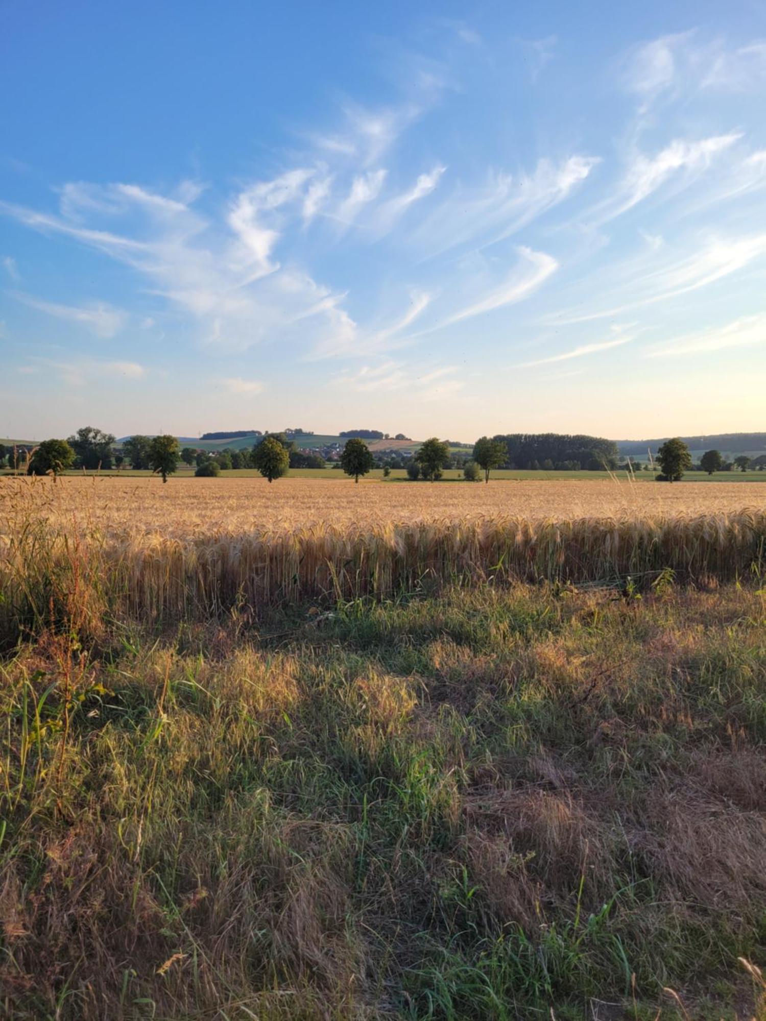 HAuszeit Bad Nenndorf Villa Luaran gambar